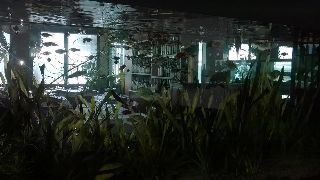 Locanda Ai Due Orsi 밀라노 객실 사진